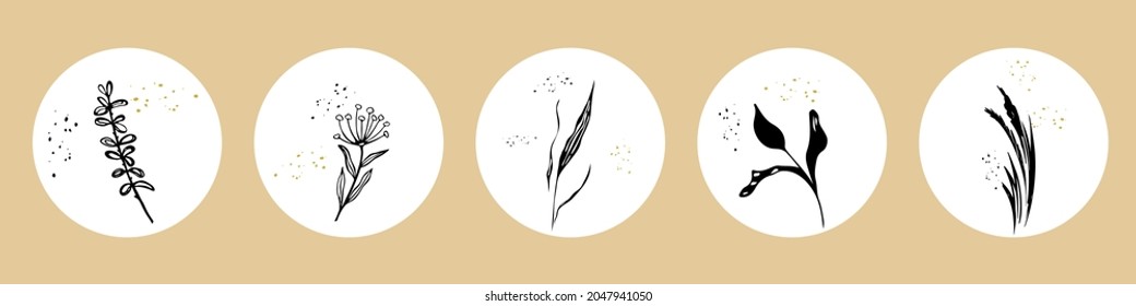 Conjunto de Resumen Botánico de Doodle Dibujado en Forma Círculo. Iconos con formas, hierbas, plantas y flores silvestres al estilo de moda para las redes sociales Instagram. Ilustración de vectores aislada