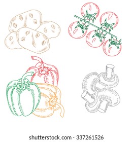 set drawn Dudley vegetables, tomatoes. potatoes 