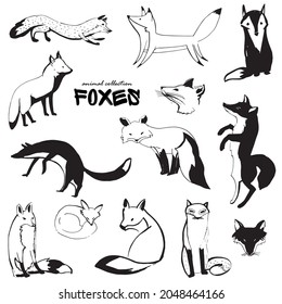 Set of drawn foxes. Silhouettes of foxes. Drawing of wild animals. Free animals. Animals of the forest. Ink drawing