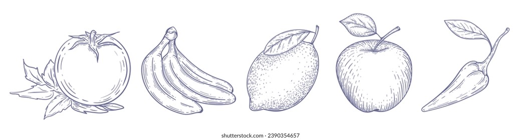 Set of drawn fruits and vegetables. Apple, lemon, banana, pepper Vector illustration. Vegan food.