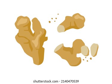Set of drawn ginger, Vector illustration. Isolated elements for design