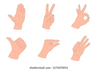 Set Drawn Hand Gestures Human Arms Stock Vector (Royalty Free ...