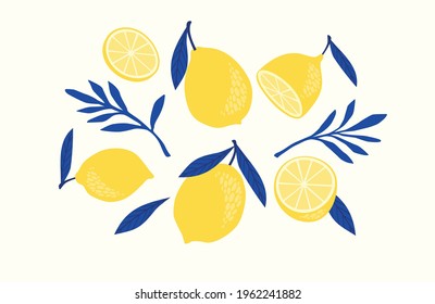 Set of drawn lemons. Citrus fruits, lemons, limes. Vector illustration. Isolated elements for design