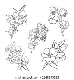 set of drawn linear flowers. cartoon sketch on a white background