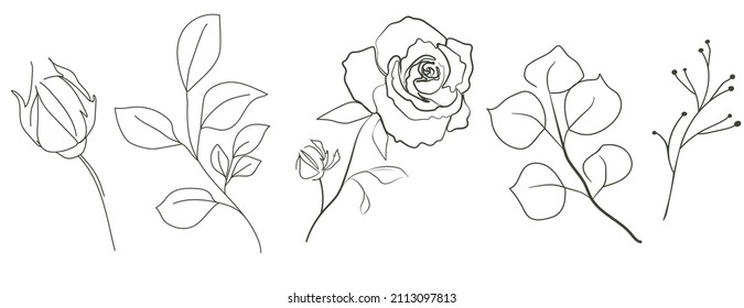 A set drawn in one line with flowers, buds and leaves on the branches. One line. Contour drawing of roses and foliage isolated on a white background. Vector design