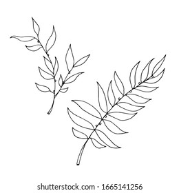 Set of drawn outline leaf isolated on a white background