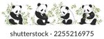 Set of drawn pandas among bamboo branches. Vector panda eats leaves. Collection of exotic animals. hand drawn vector illustration