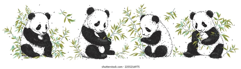 Set of drawn pandas among bamboo branches. Vector panda eats leaves. Collection of exotic animals. hand drawn vector illustration svg