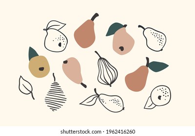 Set of drawn pears, Vector illustration. Isolated elements for design