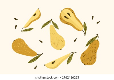 Set of drawn pears, Vector illustration. Isolated elements for design