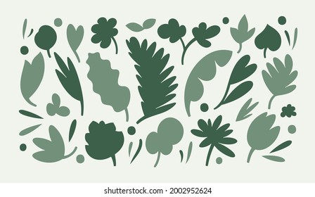 Set of drawn plants and leaves. Hand sketched floral collection. Childish cartoon graphics. Vector design elements