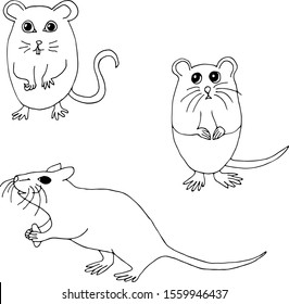 Set of drawn rats. Black and white banner with contour illustration. Cute rats in cartoon style. Vector illustration.