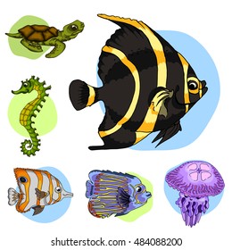 Set drawn sea inhabitants. Angel Fish. Vector illustration