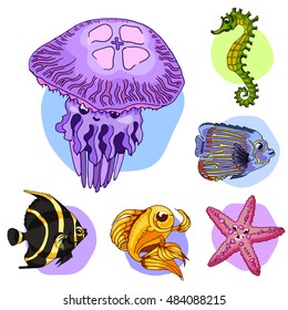 Set drawn sea inhabitants. Jellyfish. Vector illustration