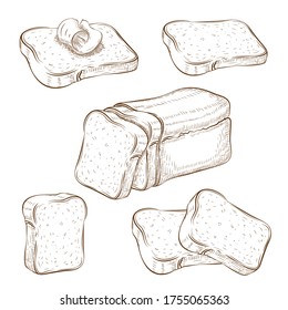 set of drawn sliced bread and toasts illustration isolated on white. wheat rye or whole grain square loaf with various bread slices. sandwich icons collection. Vector vintage engraved sketch. clip art