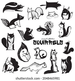 Set of drawn squirrels. Silhouettes of squirrels. Drawing of wild animals. Free animals. Animals of the forest. Ink drawing

