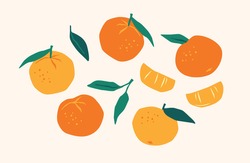 Set Of Drawn Tangerines. Citrus Fruits, Oranges, Mantarines. Vector Illustration. Isolated Elements For Design