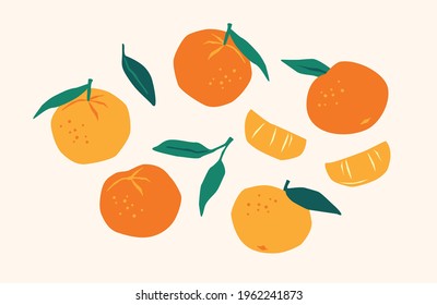 Set of drawn tangerines. Citrus fruits, oranges, mantarines. Vector illustration. Isolated elements for design