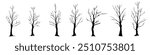 Set of drawn trees without leaves, drawing on white background, vector design