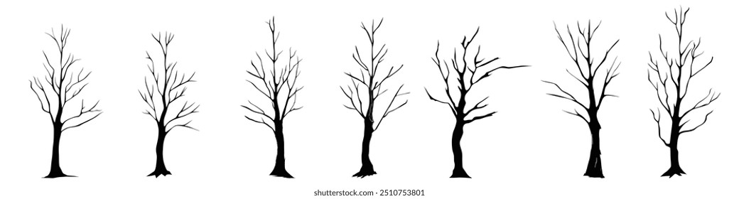 Set of drawn trees without leaves, drawing on white background, vector design