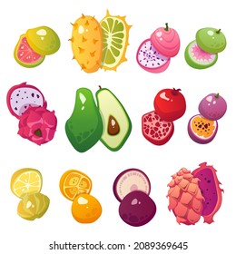 conjunto de ilustraciones de frutas tropicales vectoriales dibujadas para afiches, anuncios, iconos y pegatinas