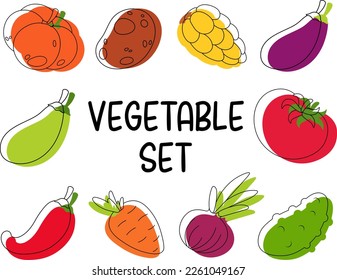 Set of drawn vegetables, outline and paint. Potato, onion, tomato, cucumber, zucchini, eggplant, pumpkin, carrot, pepper, corn