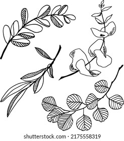 Set of drawn vintage branches in vector. Romance. Wedding. Elements for decor. A set of refined branches. Holidays. Elegance. Branches drawn by hand. ink. Tattoo. Plants set.
