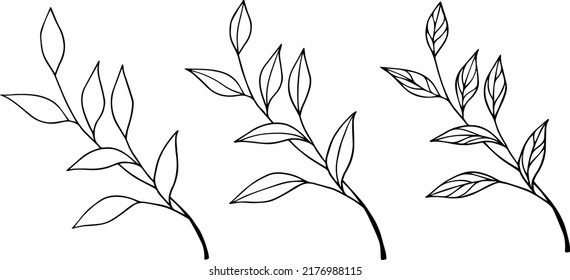 Conjunto de ramas vintage dibujadas en el vector. Romance. Boda. Elementos de decoración. Un conjunto de ramas refinadas. Vacaciones. Elegancia. Ramas dibujadas a mano. entrada de lápiz. Tatuaje también. Plantas puestas.