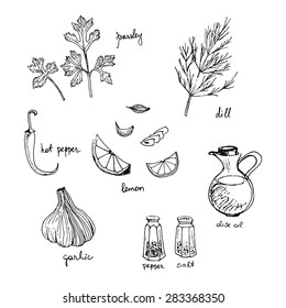 Set of dressing elements for salad etc. isolated on a white background/ Monochrome hand drawn vector illustration