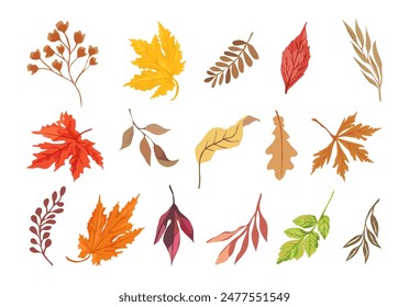Set of dried autumn leaves colorful vector flat illustration. Collection of various branches and foliage isolated on white background. Fall season hand drawn design elements, clipart.