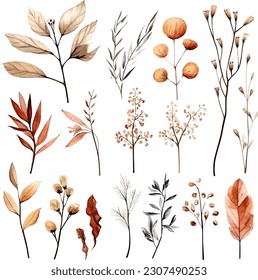 Set of dried floral watecolor. dry flower, dry leaves. Floral poster, invitation floral. Vector arrangements for greeting card or invitation design