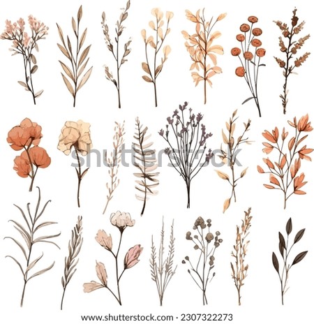 Set of dried floral watecolor. dry flower, dry leaves. Floral poster, invitation floral. Vector arrangements for greeting card or invitation design ストックフォト © 