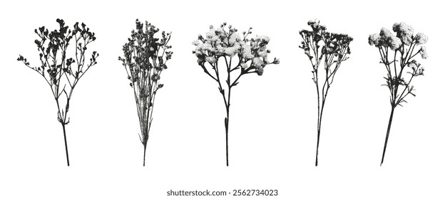 Set of dried flowers for collages with a photocopy texture in halftones. Trendy aesthetic vector illustration. Vintage grunge style effect.