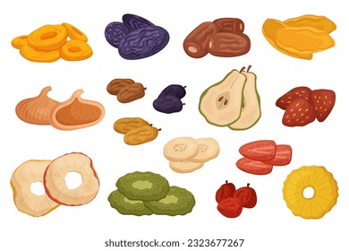 Set of Dried Fruits and Berries. Raisins, Apricots, And Figs, Strawberry, Pineapple Or Mango Apple, Prunes, Strawberry, And Banana with Kiwi and Cherry Isolated on White. Cartoon Vector Illustration