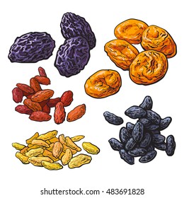 Set of dried fruits - prunes, apricots and raisins, sketch style vector illustration isolated on white background. Drawing of dries plums, dries apricots and a mix of red, golden and black raisins