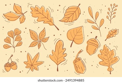 Set of dried hand drawn autumn leaves vector flat illustration pattern. Flat doodle style. Vector illustration. Fall season hand drawn design elements, clipart.