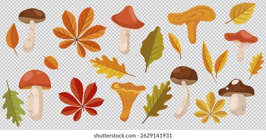 Set of dried hand drawn autumn leaves vector flat illustration pattern. Flat doodle style. Vector illustration. F