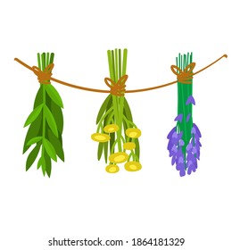 Conjunto de hierbas secas. Dibujo vectorial plano de dibujos animados aislado en fondo blanco.