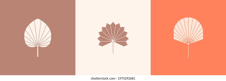 Set of Dried Palm Leaves Silhouette in Simple Style. Vector Tropical Leaf Boho Emblem. Floral Illustration for create Logo, pattern, T-shirt Prints, Tattoo, Social Media Post and Stories