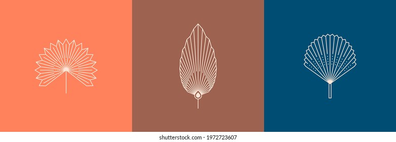 Set of Dried Palm Leaves in a Trendy Minimal Linear Style. Vector Tropical Leaf Boho Emblem. Floral Illustration for create Logo, pattern, T-shirt Prints, Tattoo, Social Media Post and Stories