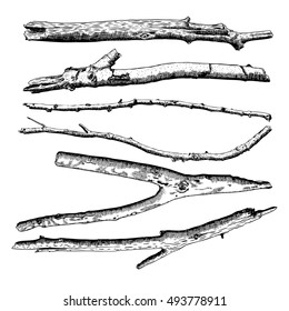 Set of Driftwood, ground floor hand drawn ink rustic design elements collection. Dry tree branches and wooden twigs. Vintage highly detailed classic ink drawings bundle art in engraved style. Vector.