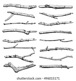 Set of Driftwood, ground floor hand drawn ink rustic design elements collection. Dry tree branches and wooden twigs. Vintage highly detailed classic ink drawings bundle art in engraved style. Vector.