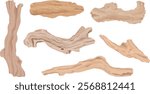Set of driftwood illustration. Tree branches, wood sticks. Hand drawn vector.