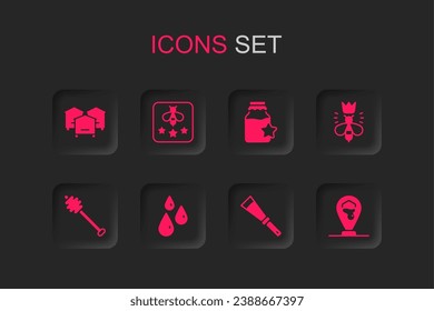 Set Drops of honey, Type bee, Hive for bees, Beekeeping knife, Queen, Honeycomb location, Jar and dipper stick icon. Vector