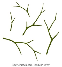 Set of dry bare branches. Decorative natural twigs.