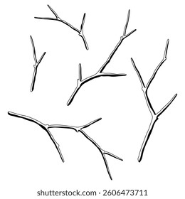 Conjunto de ramas desnudas secas. Ramitas naturales decorativas.
