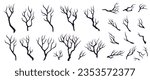 Set of dry broken trees branches  different sizes isolated on white background. 