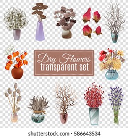 Set of dry flowers bouquets in vases of various shapes and sizes for decoration on transparent background flat vector illustration