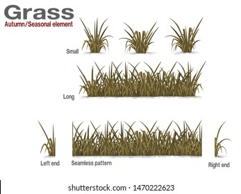 Set of dry grass on transparent background
