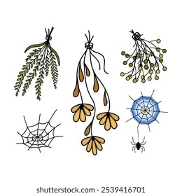 set Dry Herbs, Dried Flowers, cobwebs and spiders. Magic, Natural medicine. Colored Vector chamomile, calendula, leaves, twigs.